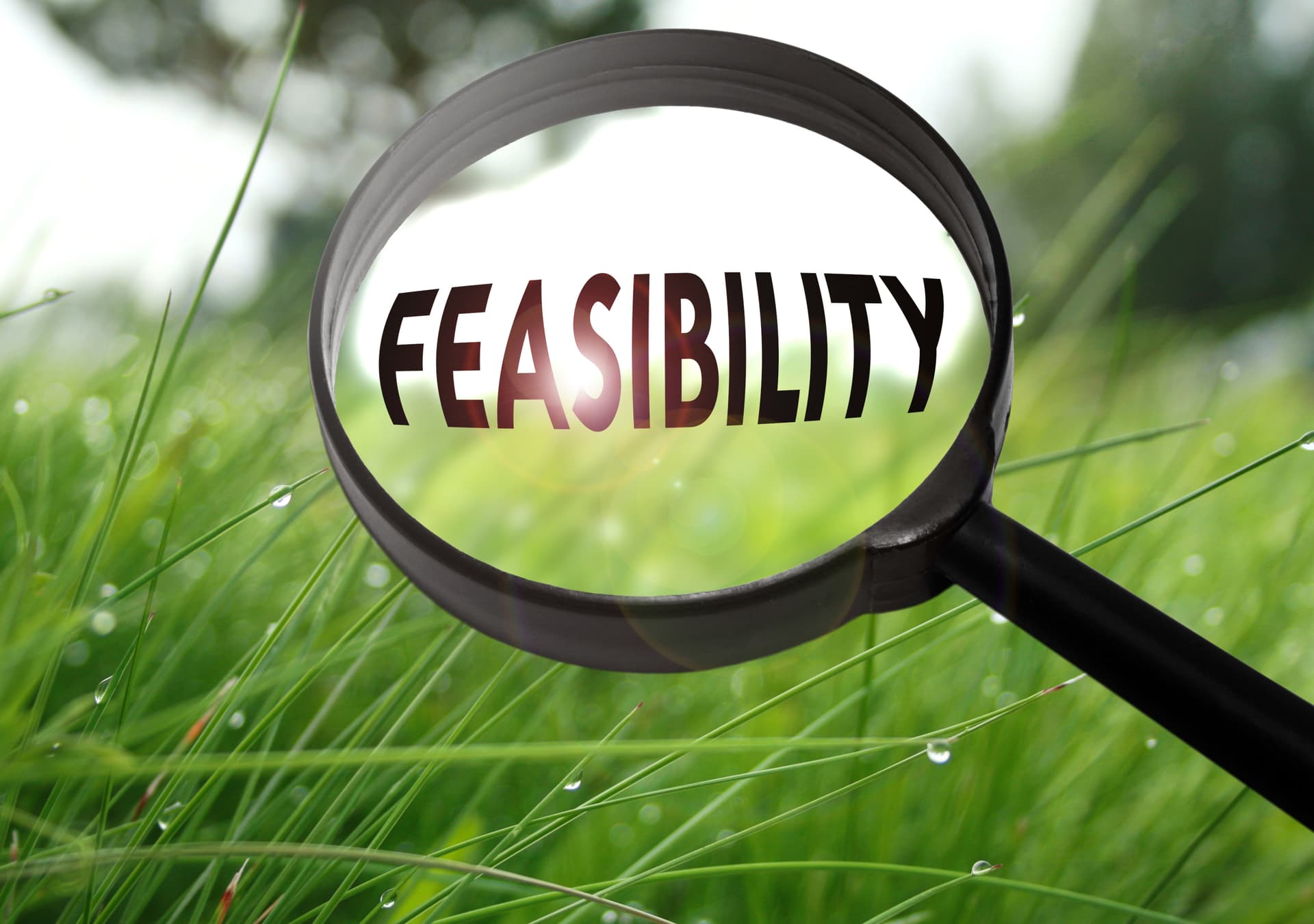 Feasibility Studies