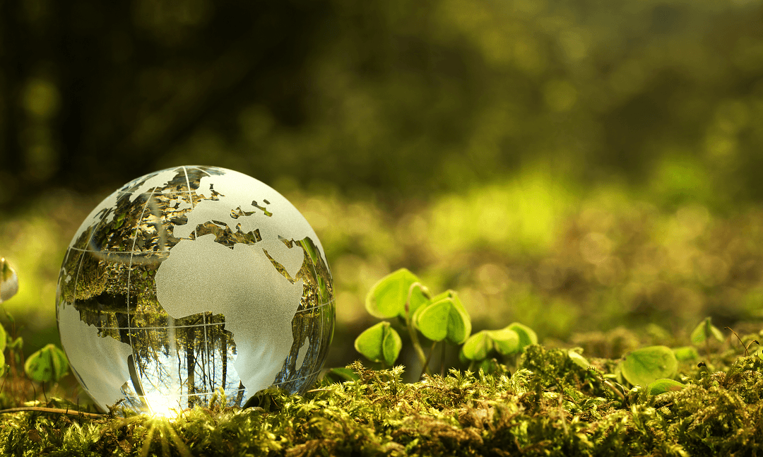 Strategic Environmental Assessment (SEA)