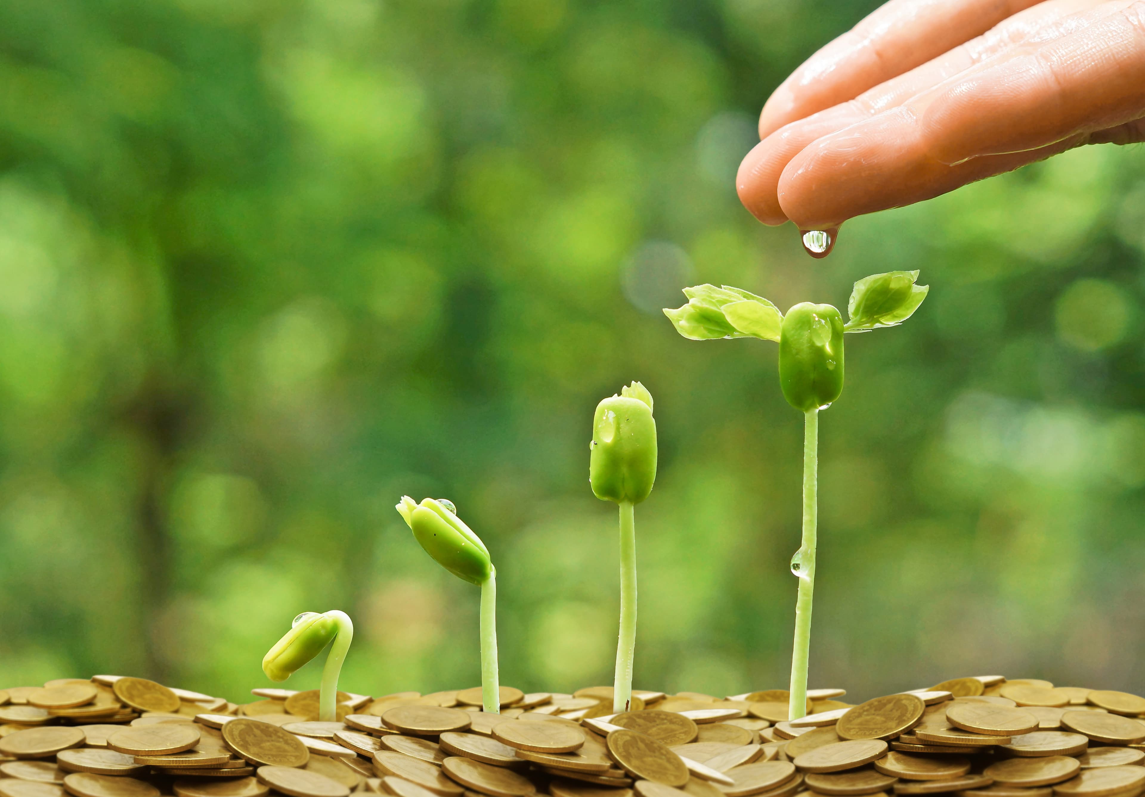 Consultancy background